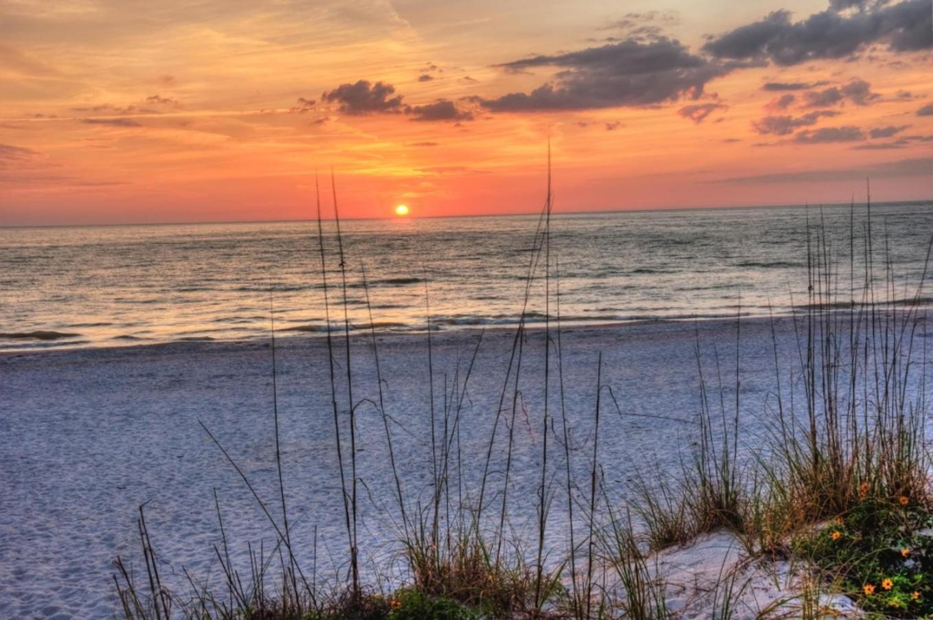 Boutique Beach Retreat St. Pete Beach Bagian luar foto